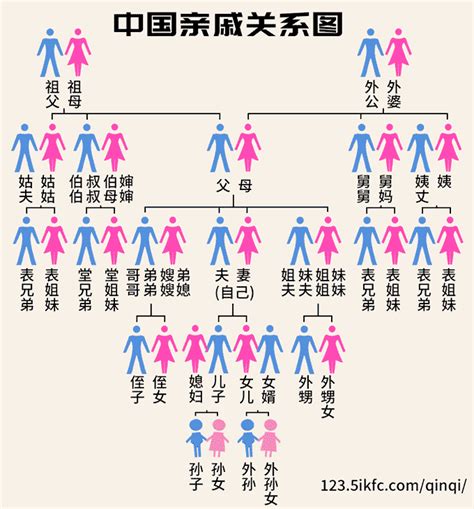 叔公的兒子|中国亲戚关系计算器 亲戚称谓计算器 亲戚称呼大全 